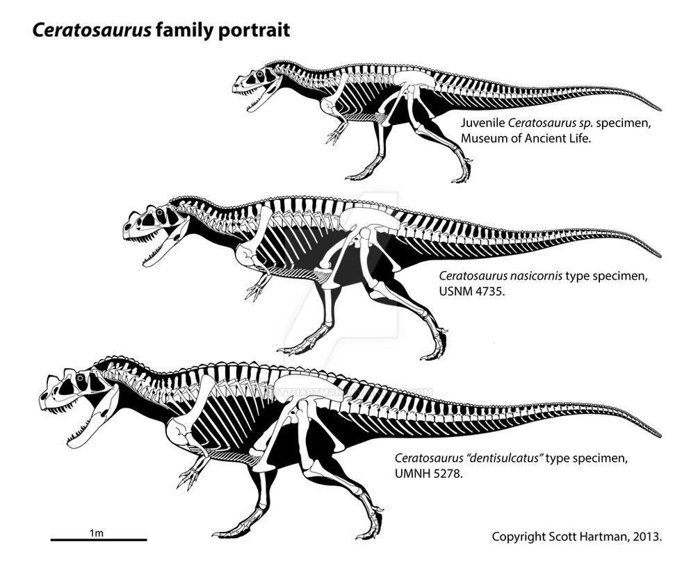 http://pre08.deviantart.net/2afb/th/pre/i/2015/121/a/c/ceratosaurus_growth_series_by_scotthartman-d2wl57m.jpg