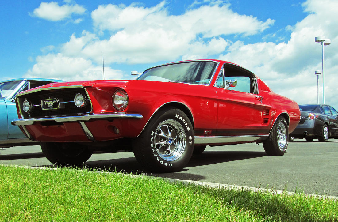 Mustang Forums for All Ford Mustangs - The Mustang Authority