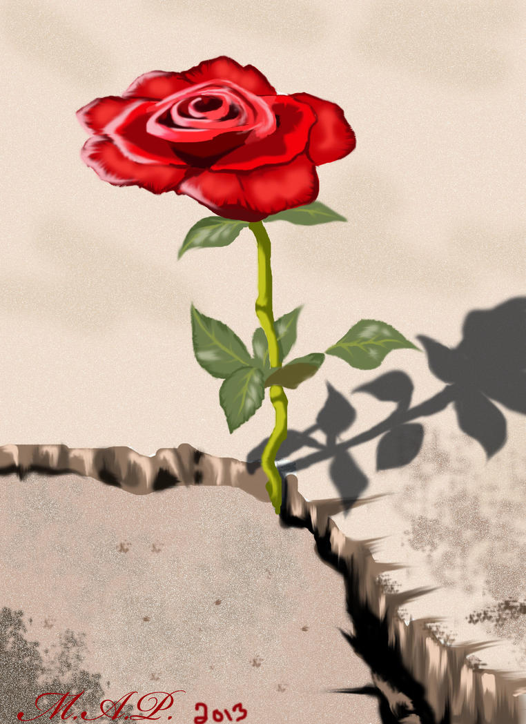 The Rose that grew from Concrete by michaelAndr3 on DeviantArt