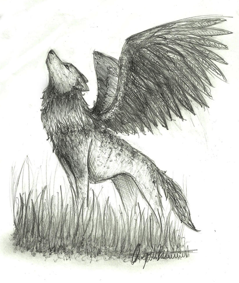Sketch Winged Wolf by wolfylittleartist on DeviantArt